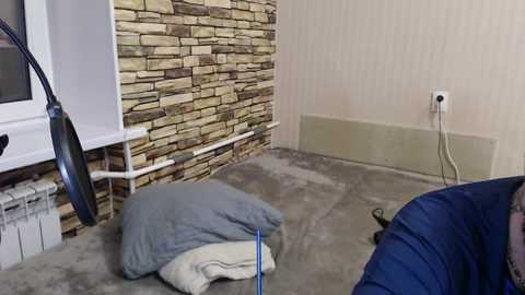 Video of a room with a beige carpet, a white wall with a brown stone accent, a white radiator, and a blue blanket on a cushion.