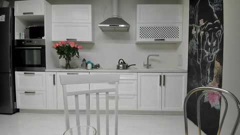 Media: Video of a modern, minimalist kitchen with white cabinets, stainless steel appliances, a white island with a stool, and a black chalkboard wall with white horse drawing.