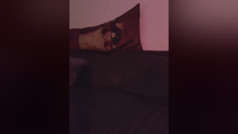 Media: Video of a dark room with a single red pillow on a bed, partially covered by a blanket, creating a dim, moody atmosphere.