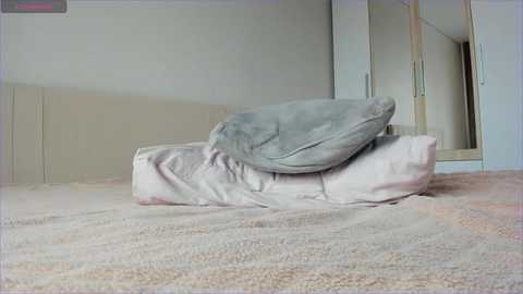 A video of a light beige, plush pillow resting on a soft, textured pink bedspread, with a mirror and wardrobe in the background.
