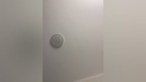 Media: A video of a minimalist interior wall featuring a circular, matte silver wall-mounted light fixture centered on a smooth, white wall. The lower part of the wall has a white, perforated panel. The lighting is soft and diffused.