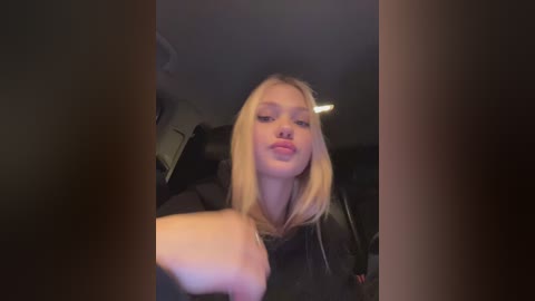 Media: A video of a young blonde woman with fair skin and straight hair, wearing a black hoodie, sitting in a car with dim lighting.