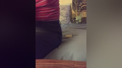 A video shows a person in a red-striped shirt, lying on a bed with light gray sheets and a wooden floor. The person's legs are crossed, and a green toy frog is on the bed.