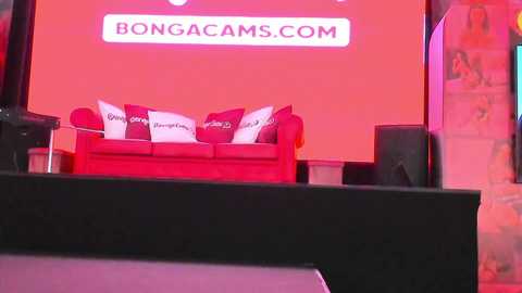 Media: Video of a red sofa with white pillows, labeled \"Bongacams.com,\" set against a bright pink wall in a modern indoor setting.