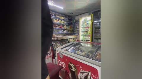 Media: Video of a small, well-lit convenience store with a red freezer displaying ice cream, shelves filled with beverages, and a person in the background.