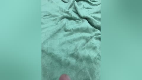 Video of a crumpled, mint-green blanket with a soft, plush texture, lying on a flat surface. The blanket's folds and creases create a wrinkled appearance. The background is a smooth, light green color.
