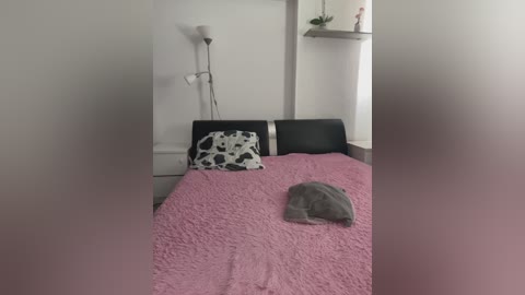 A video of a minimalist bedroom with a pink quilted bedspread, black leather headboard, white walls, a tall floor lamp, and a small potted plant on a shelf.