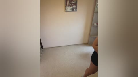 Media: A video of a beige-walled room with a cream carpet, a black-framed painting on the wall, and a person's lower body visible in black shorts.