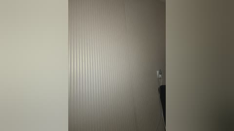 Media: A video of a beige, textured door with vertical ribbing, featuring a silver door handle and a black electrical cord. The background is a plain, light beige wall, creating a minimalist, modern interior aesthetic.