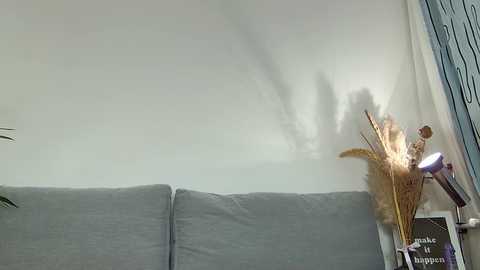 Video of a modern living room featuring a gray couch, a minimalist white wall, and a decorative arrangement of dried flowers and a small sign on a table.