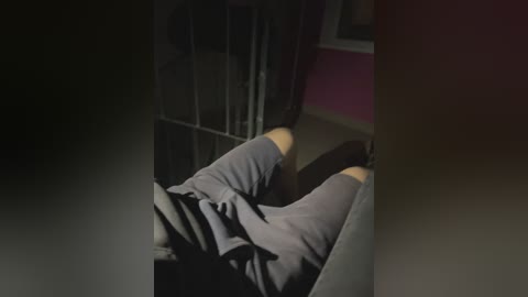 Video of a person reclining in a dark room, wearing a gray shirt and black shorts, with shadowy figures and furniture in the background.