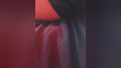 Video of a close-up of a person's lower leg, showing detailed skin texture, including hair follicles, and a red sock, with a blurred background of dark and red tones.
