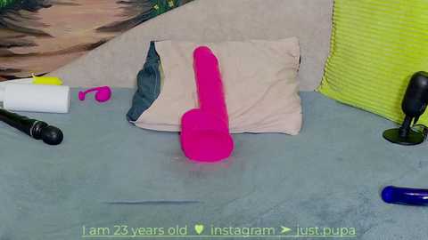 Media: Video of a messy bedroom with a pink dildo on a bed, surrounded by black and white sex toys, a green pillow, and a blue dildo on the floor.