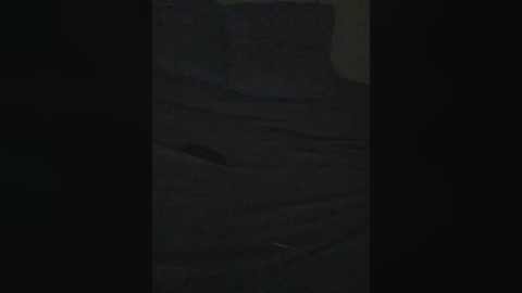 Video of a dark, indistinct figure, possibly a person, seated on a chair in a dimly lit room. The figure is obscured by shadows, making it difficult to discern details.