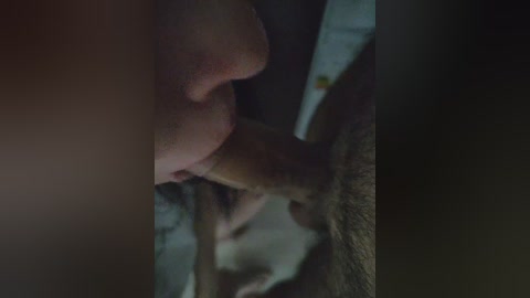 Video: Close-up of a man's erect penis being orally stimulated by a woman. Her face is partially obscured, and the background is dimly lit with indistinct objects.
