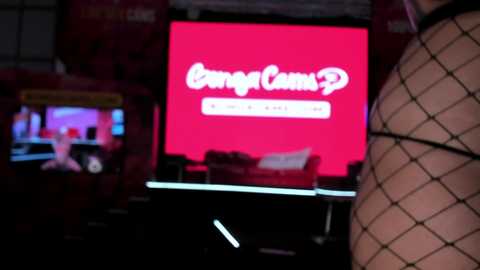 Media: A dimly lit video captures a close-up of a woman's fishnet-clad backside, facing a large screen displaying the \"George Carlin\" logo. The background is a dimly lit, cluttered room with a TV playing a video.