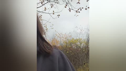 Media: Video of a person's shoulder-length brown hair, partially covered by a dark cloak, standing in a misty forest with autumn foliage.