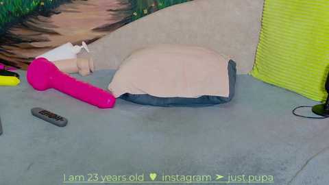 Media: A video shows a grey concrete floor with a beige pillow and a bright pink dog toy, a yellow toy, and a black remote control.