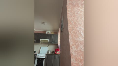 Media: Video of a narrow, beige-walled hallway leading to a kitchen with dark cabinets, a white stove, and a small microwave. On the right, a textured pink wall contrasts with the hallway's smooth surface.