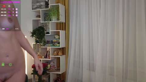 Media: A video of a nude woman with fair skin, small breasts, and a belly button piercing, standing in a modern, minimalist room with white shelves and a tall window with sheer curtains.