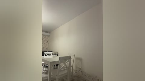 Media: Video of a narrow, empty room with white walls, a white table, and two white chairs. The floor is covered in white carpet, and the room features a floral wallpaper on the left wall. The lighting is soft and even.