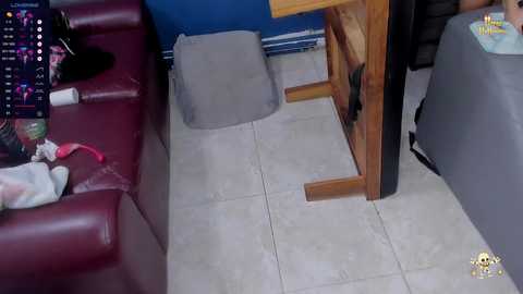 A video shows a messy living room with a maroon couch, a wooden table, and scattered clothes and toys on the floor. A blue wall and a gray armchair are visible.