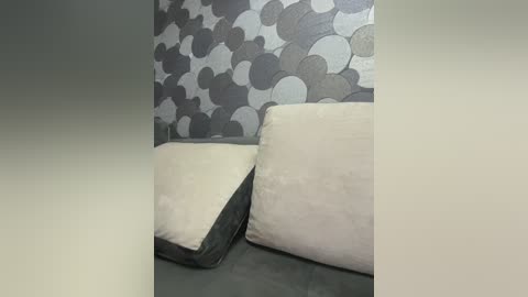 Media: Video of a modern living room corner featuring two white rectangular pillows on a dark gray couch against a wallpapered wall with a pattern of large, abstract gray and white shapes.