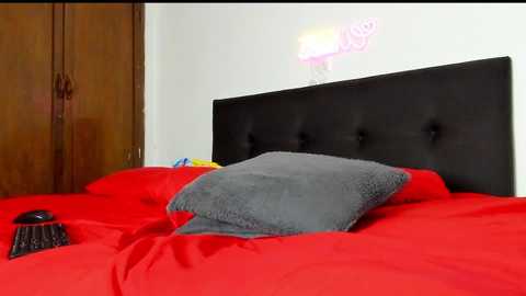 Video of a bedroom with a red bedspread, a gray pillow, and a black upholstered headboard. A wooden wardrobe and a white wall with a light fixture are visible in the background.