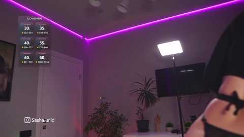 Video of a dimly lit room with purple LED strip lighting, featuring a potted plant, a large screen, and a person wearing a black bra and underwear.