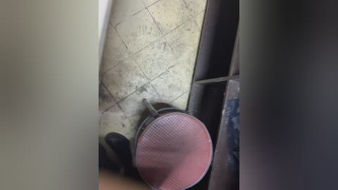 Media: A video of a worn, beige, diamond-patterned floor with a black and pink mesh netting covering a hole, situated in a dimly lit room with a dark, wooden door frame.