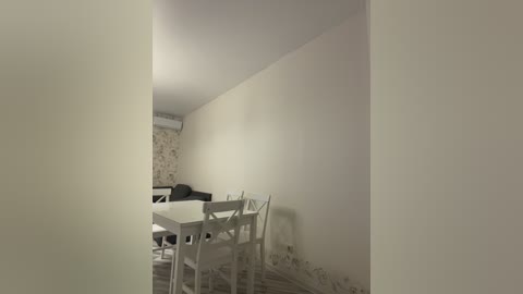 Media: Video of a sparsely furnished, rectangular room with white walls, a white table, four white chairs, and a black couch against a floral wallpapered wall.