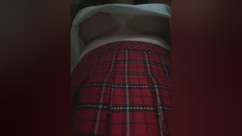 Video of a woman's chest in a white bra and red plaid skirt, viewed from a low angle. The image is dimly lit with a muted red background.