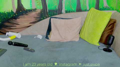 Media: A video of a messy room with a beige laundry basket, a green pillow, a vibrator, and a phone charger on a grey carpet. The background features a painted forest scene with a path.