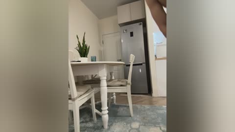 Media: Video of a small, modern kitchen with a white table, chairs, and a large stainless steel refrigerator. A light-colored rug covers the floor, and a green plant sits on the table.