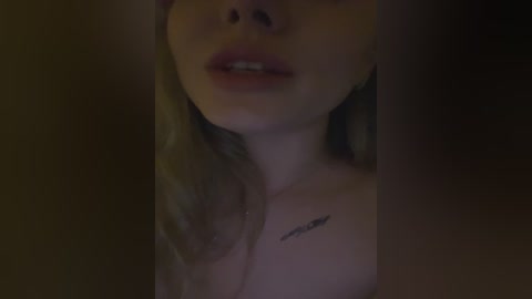 A dimly lit video of a partially obscured woman with fair skin and blonde hair, her lips slightly parted, revealing a tattoo of a feather on her collarbone.