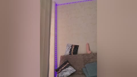 Video of a messy room with a beige wall, a brown couch, a blue blanket, and a pink dildo on top of a pile of black and white striped sheets.