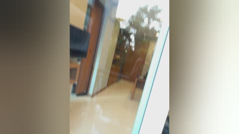 Media: A blurred video of a hallway with wooden doors and a glass door leading to a garden. The walls are beige, and the floor is tiled.