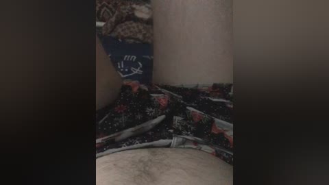 Video of a close-up view of a man's hairy thighs and crotch area, partially covered by black underwear adorned with red and white snowflakes and reindeer patterns.
