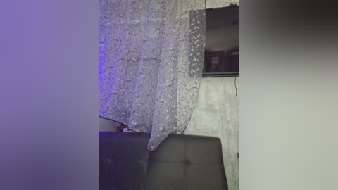 Video of a dimly lit room with a grey, textured curtain hanging over a grey sofa. The room features a TV mounted on a wall with a white brick backdrop.