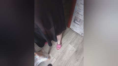 Video of a person in a black dress standing on a wooden floor, wearing pink sandals, with a partially visible dog in the foreground.