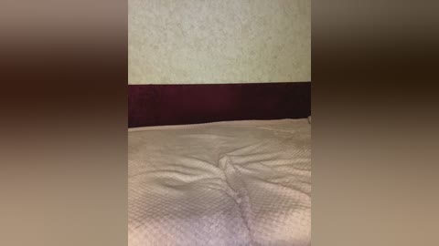 Video of a beige wall with a maroon horizontal band, and a textured, beige, patterned blanket on the floor. The background is blurred, emphasizing the wall and blanket.