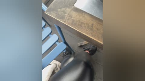 Media: A video shows a black dog sniffing under a wooden table in a classroom with blue chairs and a beige tiled floor.