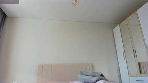 Video of a minimalist bedroom with beige walls, a light wood headboard, a single bed with gray blankets, a small lamp on the ceiling, and a large wardrobe mirror on the right.