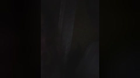 Media: A video captures a dark, indistinct figure standing against a black background, creating a mysterious and eerie atmosphere. The figure's silhouette is barely discernible, adding to the enigmatic quality of the image.