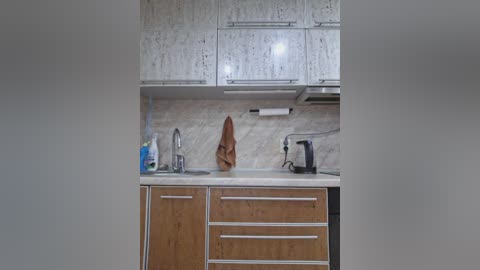 Media: A video of a small, modern kitchen with light-colored wooden cabinets, a white backsplash, a brown hand towel, and a coffee maker on the counter.