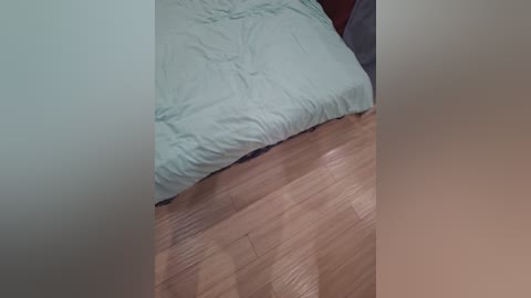A video of a bed with a light green pillow and sheet, placed on a wooden floor with a visible pattern. The image is slightly blurred, and the setting appears to be a simple bedroom.