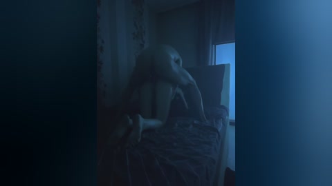 A dimly lit video captures a naked woman with long hair, kneeling on a bed, illuminated by a blue light. The room is shadowy, with dark curtains and a small window emitting faint light.