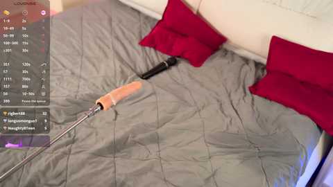Video of a bed with a gray quilted bedspread, two red pillows, and a vacuum cleaner nozzle with an orange handle on the bed.