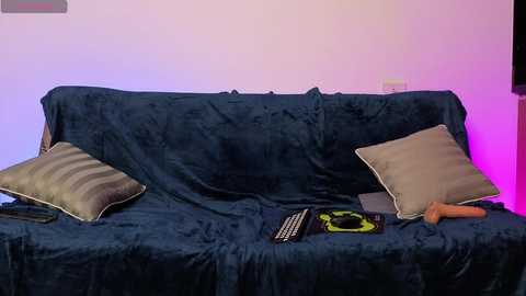 Video of a navy blue couch covered in a plush blanket with two gray pillows. A green and black laptop, a black phone, and a carrot-shaped toy are on the couch. Background is a gradient of purple and pink.