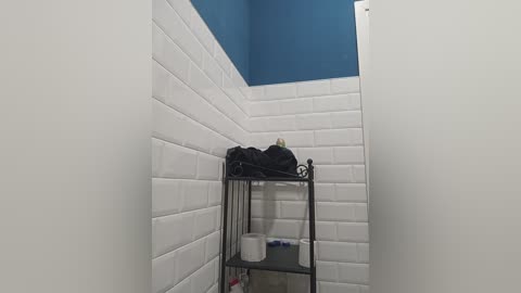 Media: Video of a narrow, white-tiled bathroom with a black metal shelf holding black clothes, a white bucket, and a silver pipe, against a blue-painted wall.